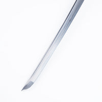 Blood Dragon Katana (1060 Carbon Steel)