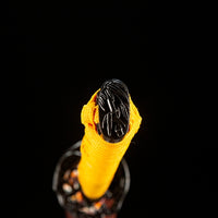 Golden Sky Katana (1055 Carbon Steel)