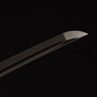Midnight specter — CK-20260705-E4291