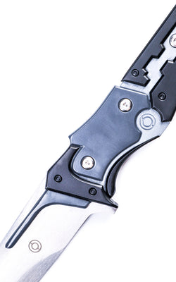 Battle-Ready Raiden's Sword Sharpened