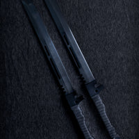 Kaiju No. 8 Hoshina's Twin Swords