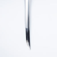 Blood Dragon Katana (1060 Carbon Steel)