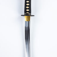 Blood Dragon Katana (1060 Carbon Steel)