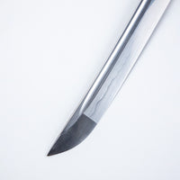 Blood Dragon Katana (1060 Carbon Steel)