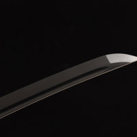 Black Flash — CK-20260630-37F62