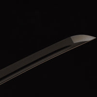 Dweller — CK-20260720-B5CD7