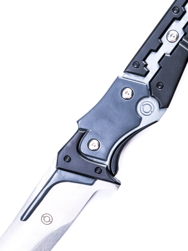 Battle-Ready Raiden's Sword Sharpened