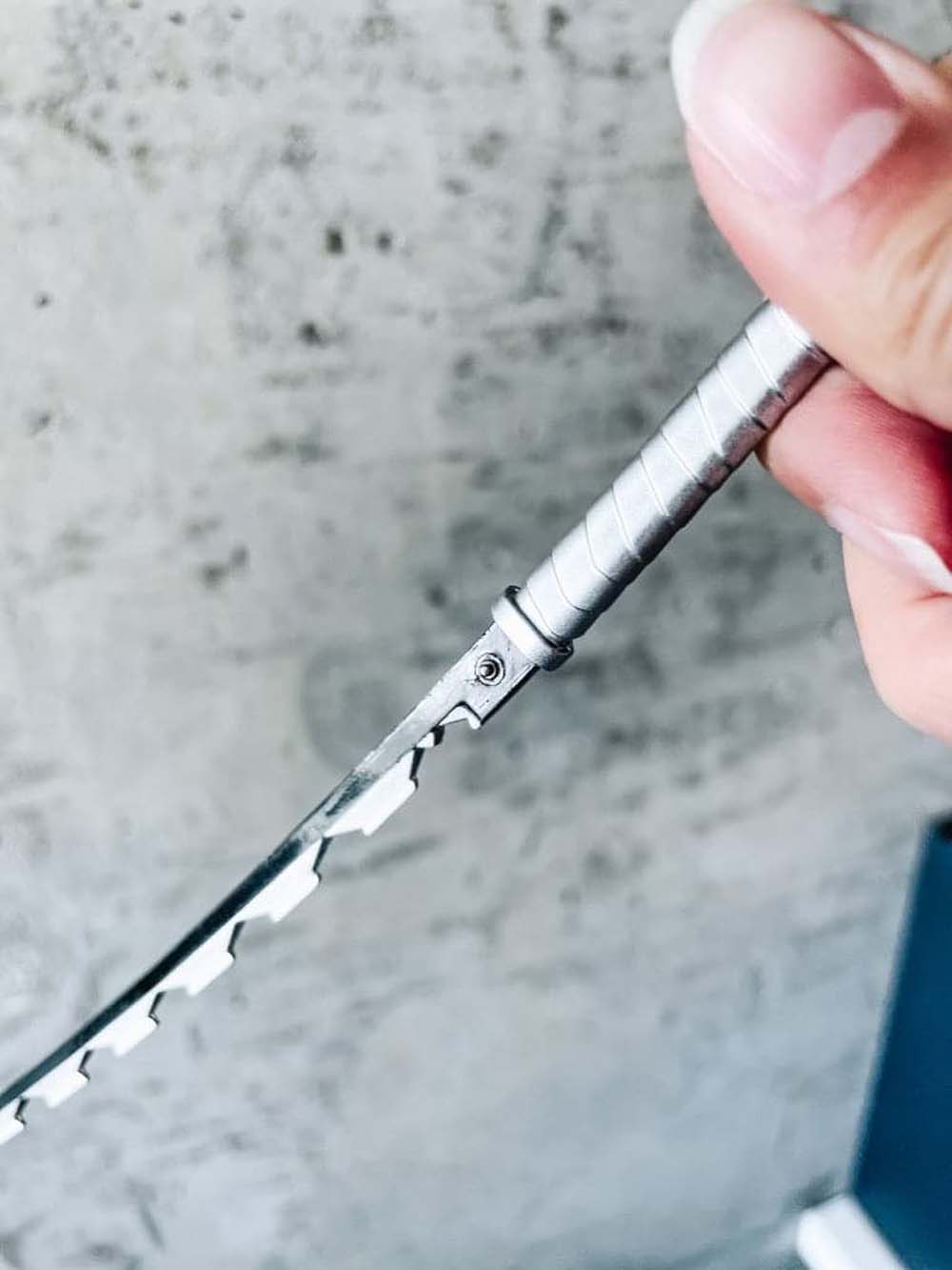 Inosuke Keychain + Stand